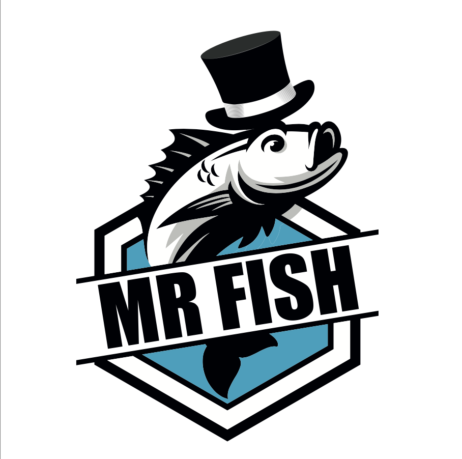 Mr Fish